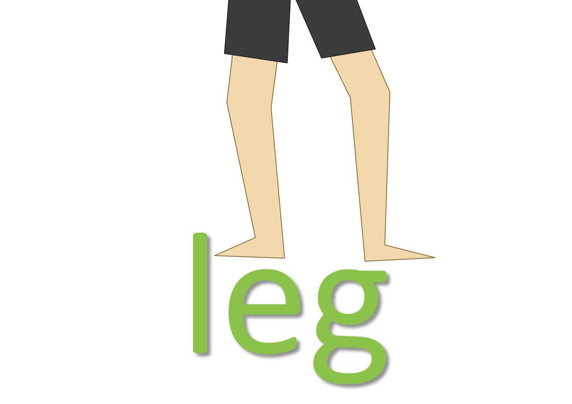 idiomatic expressions with body parts - leg