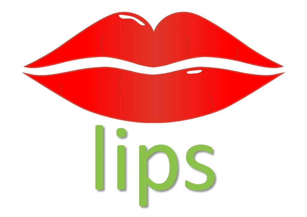 LIP idioms (body idioms) Mingleish