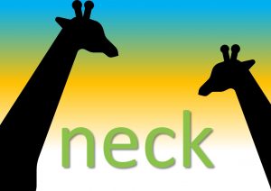 idiomatic expressions with body parts - neck