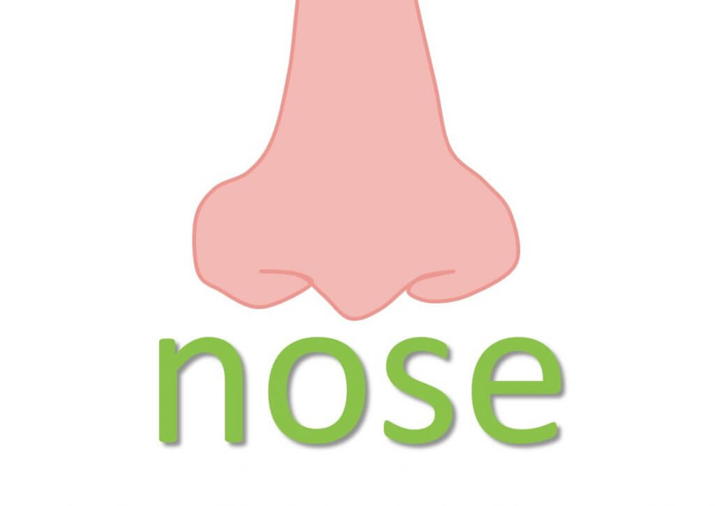 Nose Idioms - Mingle-ish