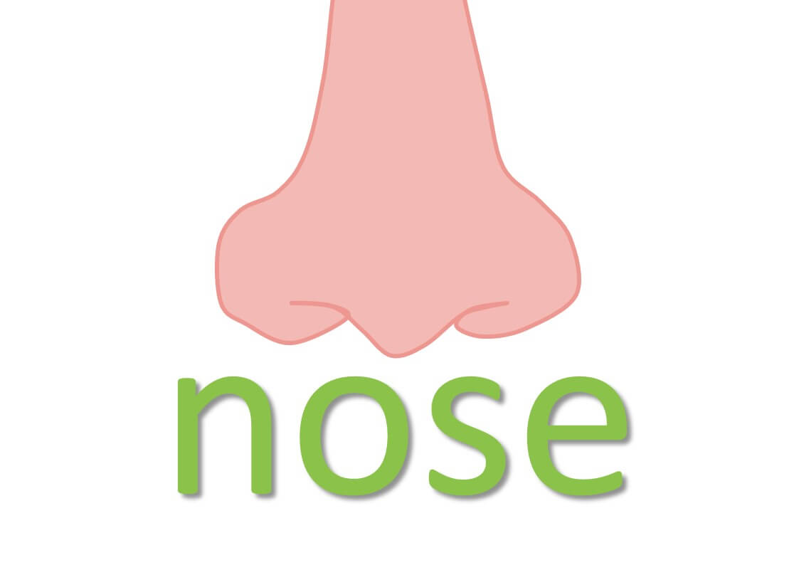 idiomatic expressions with body parts - nose