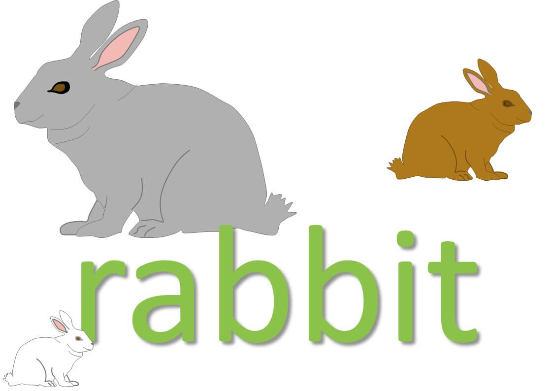 animal idioms - rabbit/bunny expressions and sayings
