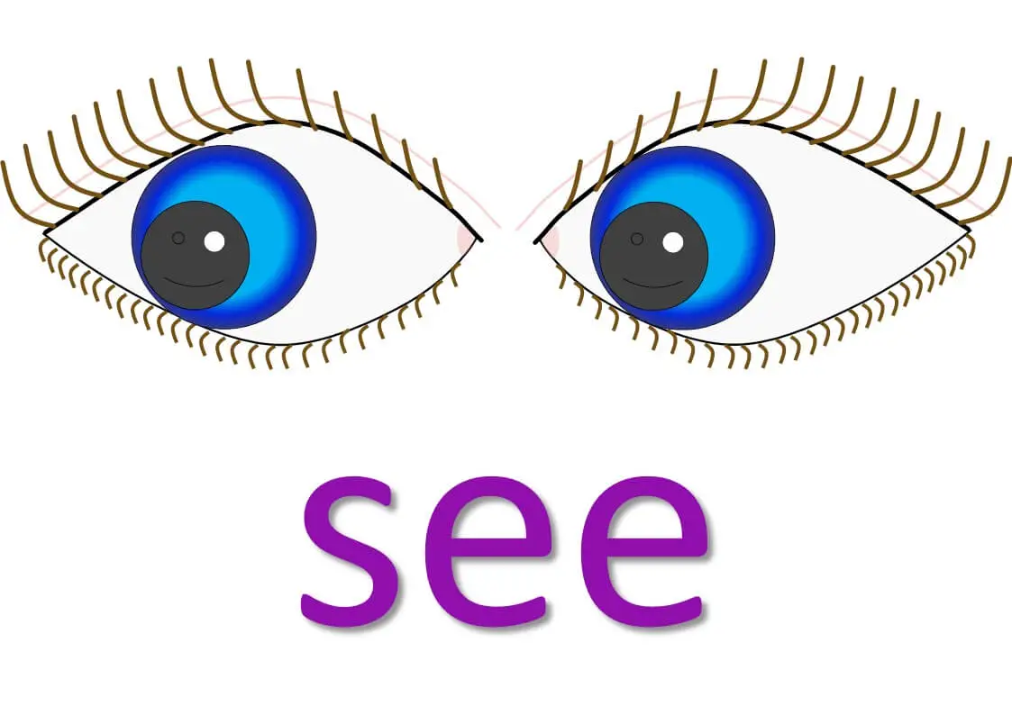 phrasal verbs with see