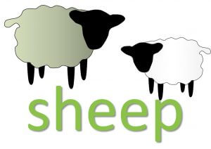 animal idioms - sheep idioms and sayings - learn real life English