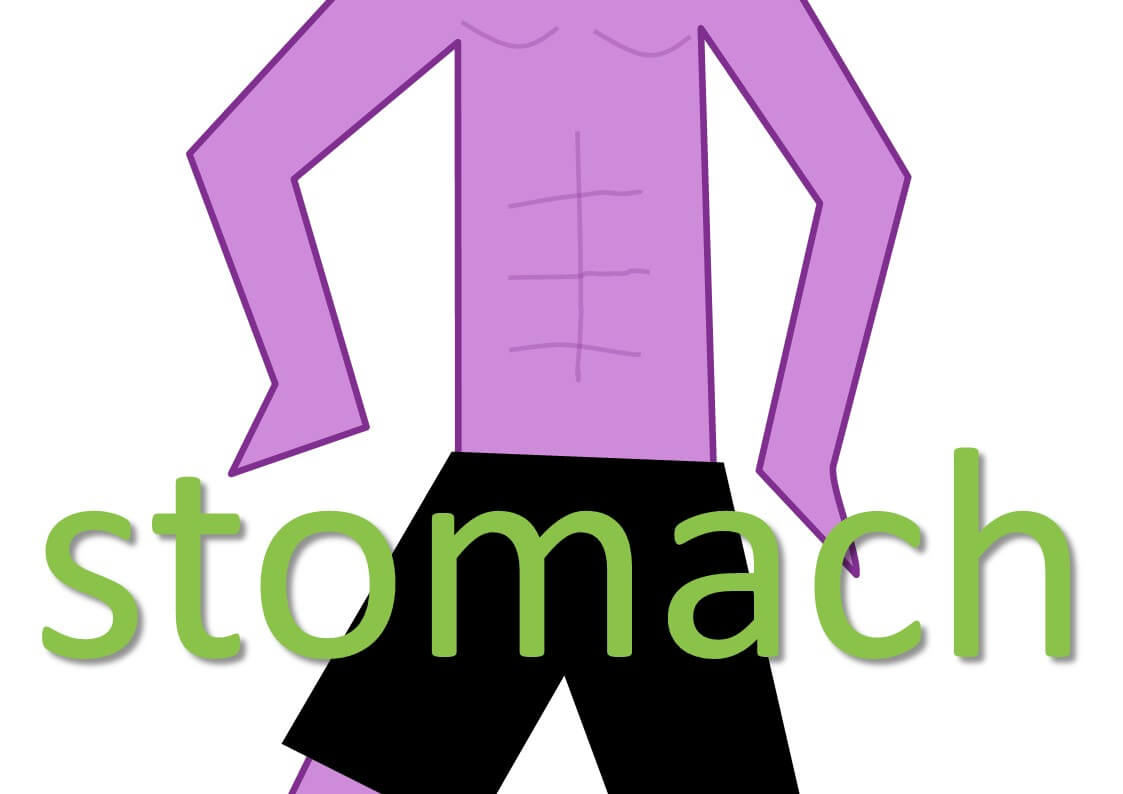 idiomatic expressions with body parts - stomach