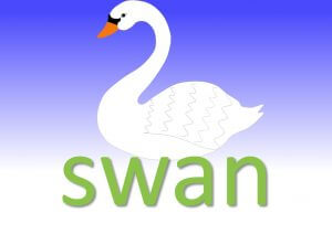 swan idioms and sayings