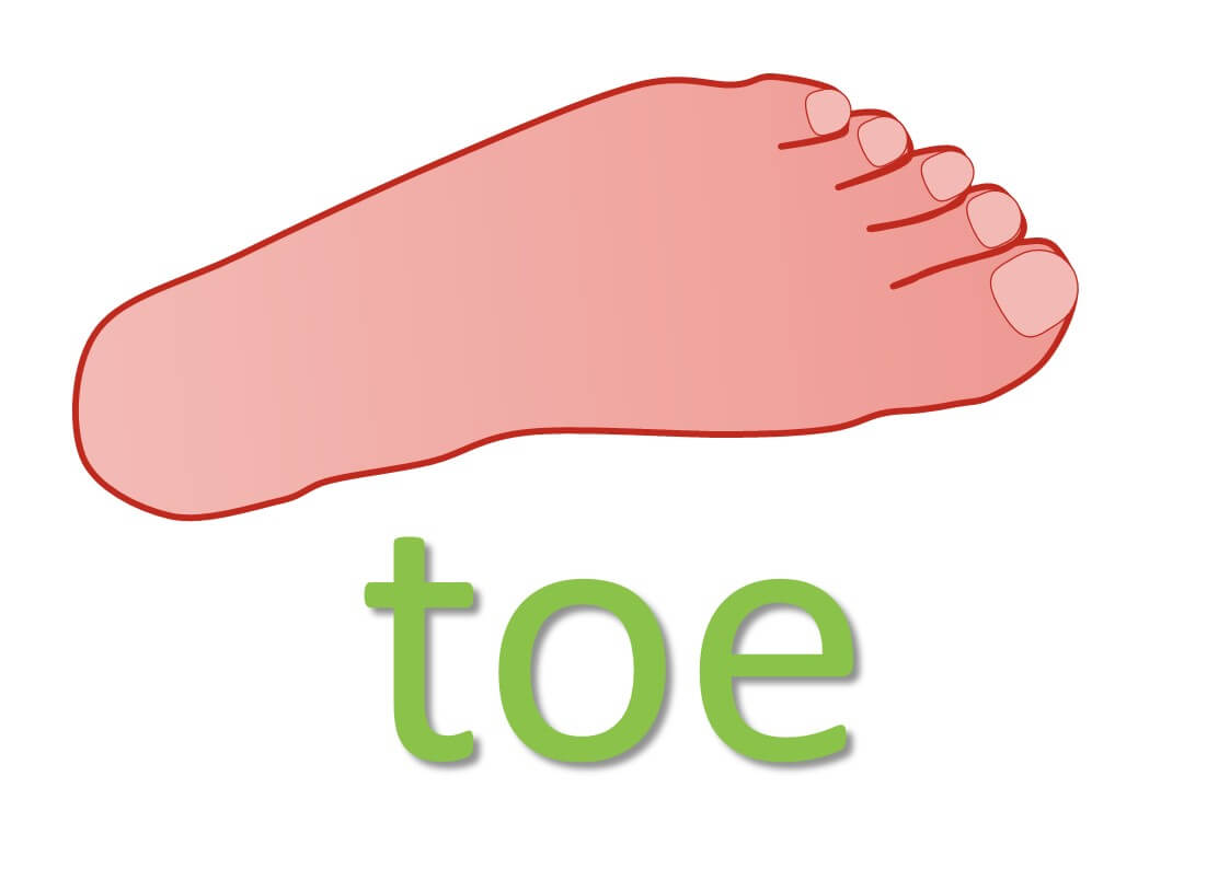 idiomatic expressions with body parts - toe
