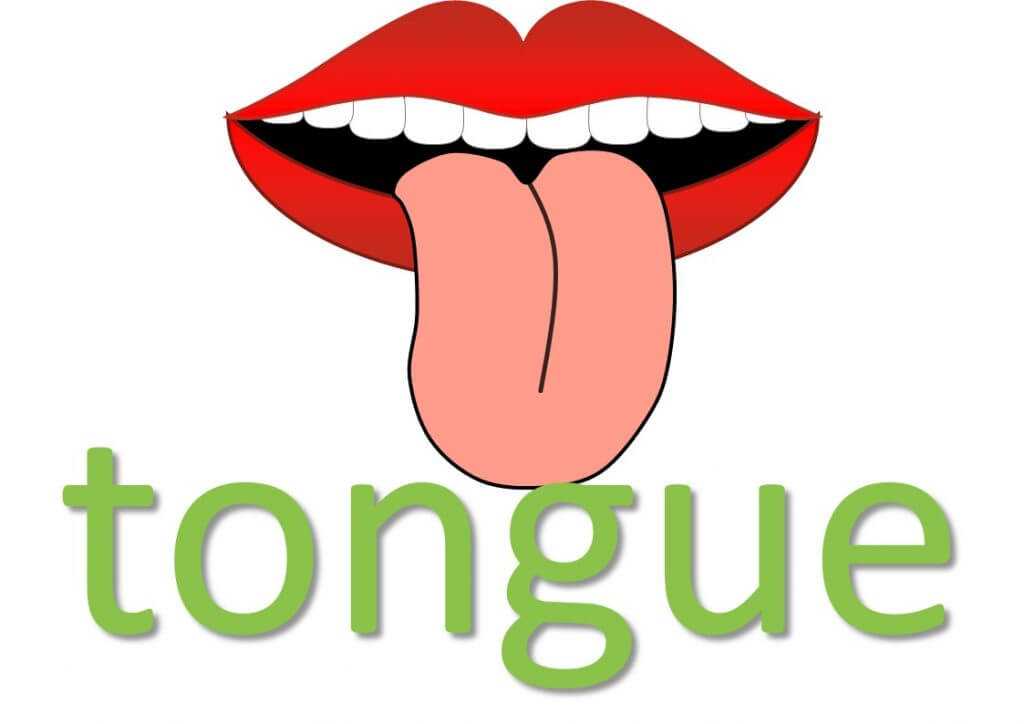 TONGUE idioms (body idioms) Mingleish