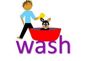phrasal verbs with wash