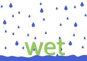 wet idioms and sayings