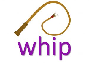 phrasal verbs with whip