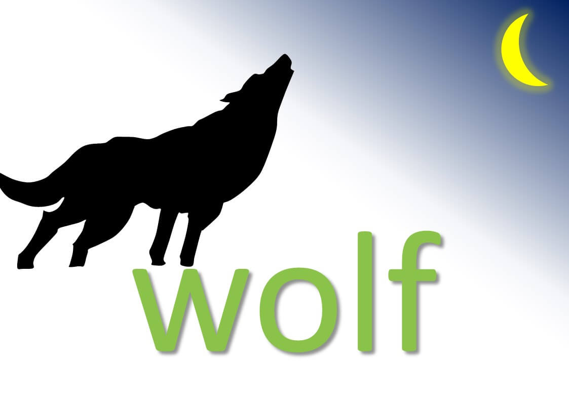 animal idioms - wolf idioms and expressions