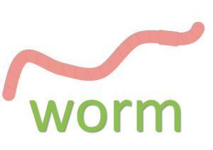 worm idioms and expressions