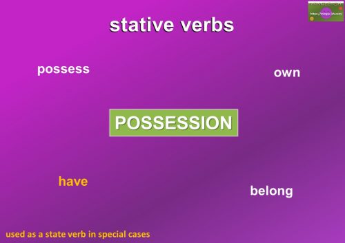 types of verbs - state verbs - possession