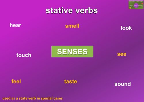 types of verbs - state verbs - senses