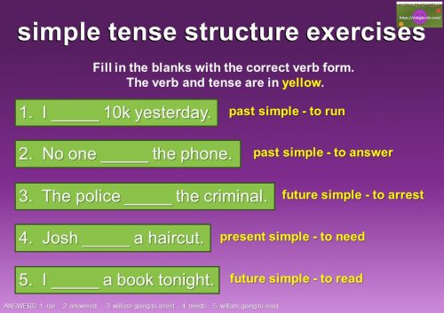 simple tense structure exercises
