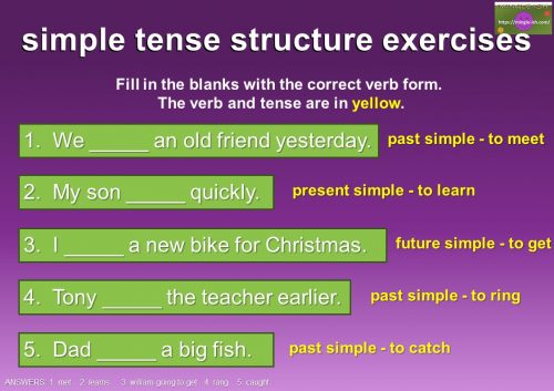 simple tense structure exercises 1