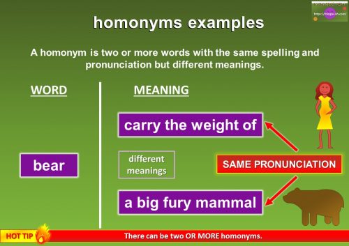 homonym of bear example