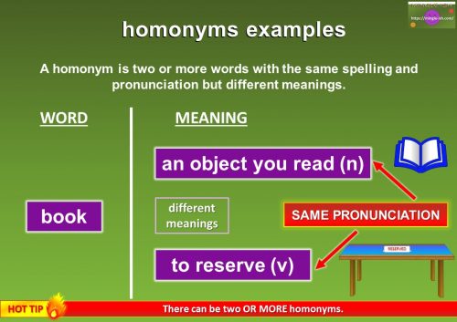 homonym of book example