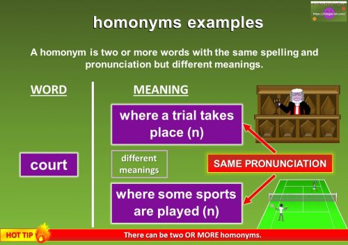 homonym of court