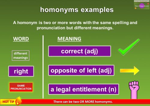homonym of right