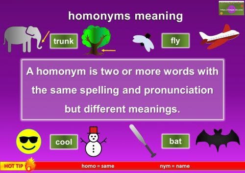 homonyms meaning