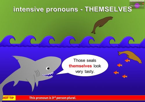 intensive pronouns example - themselves (3rd person plural)