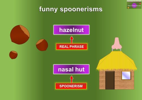 funny spoonerisms - hazelnut- nasal hut