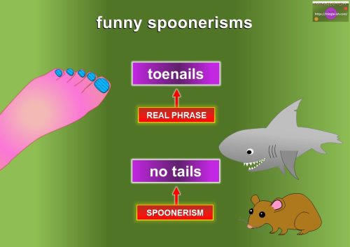 funny spoonerisms - toenails - no tails
