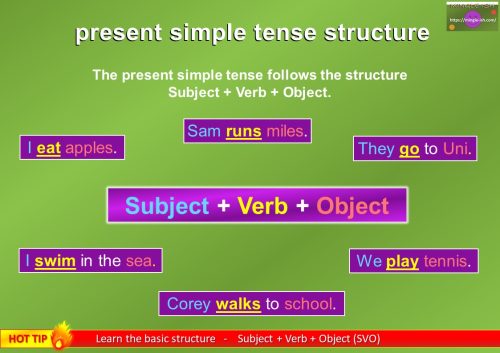 present simple tense structure