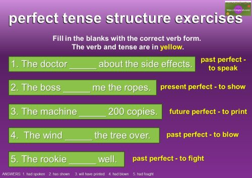 perfect tense structure exercises