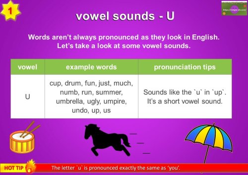 vowel sounds - U (short vowel sound)