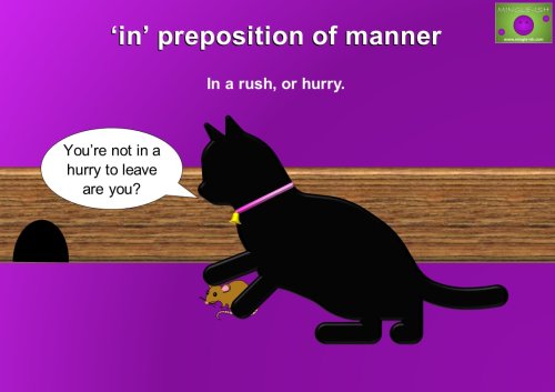 in preposition of manner example