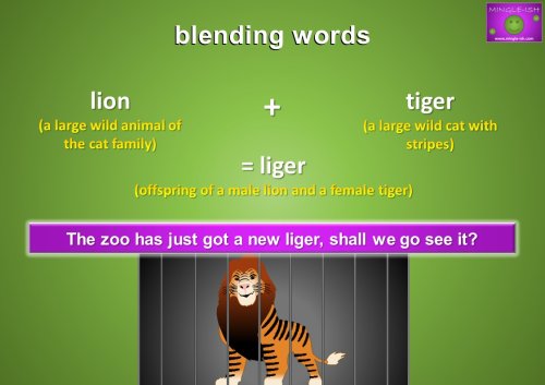 liger meaning