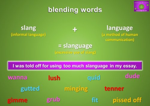 slanguage meaning