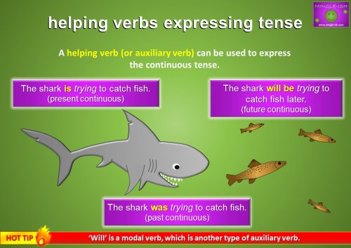 helping verbs expressing the continuous tense