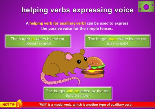 helping verbs expressing voice - simple tense