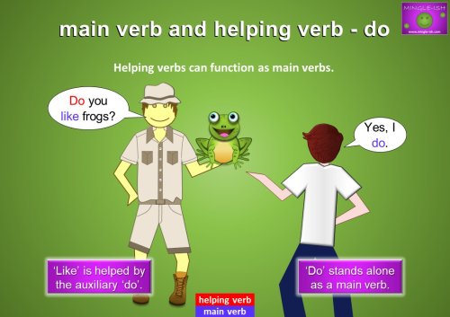 main verb and helping verb do