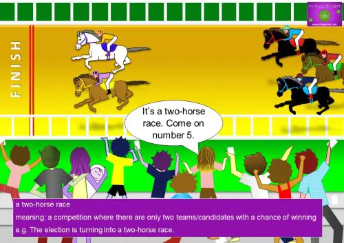 horse racing idiom - a two-horse race