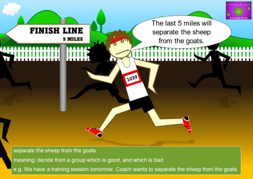 sheep idioms - separate the sheep from the goats