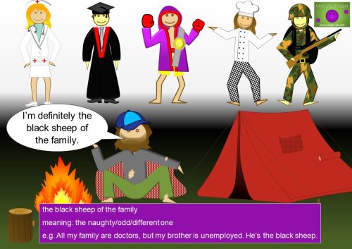 black idioms - the black sheep of the family