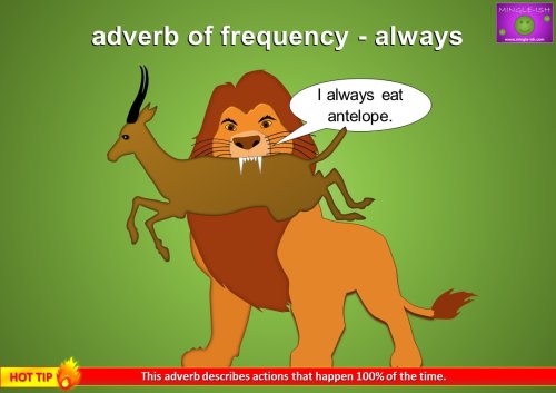 adverb of frequency example - always