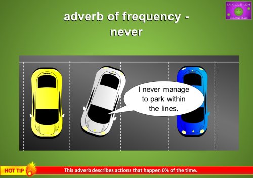 adverb of frequency example - never