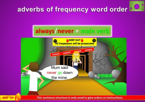 adverbs of frequency word order - always or never + main verb