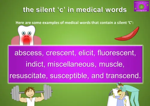 Examples of Medical Words with Silent 'C' - Educational Graphic