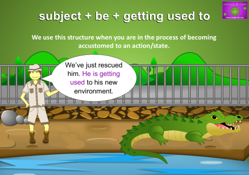 A cartoon illustration of a person in a khaki outfit standing on a path next to a crocodile. The person is talking about a rescued animal getting used to its new environment.