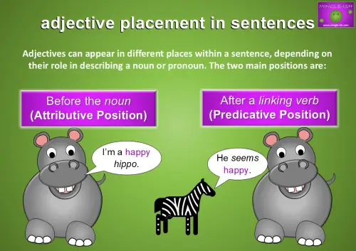 A diagram explaining adjective placement in sentences, featuring two cartoon hippos and a zebra. On the left, the phrase "I'm a happy hippo" demonstrates an adjective before the noun (attributive position). On the right, the phrase "He seems happy" illustrates an adjective after a linking verb (predicative position).