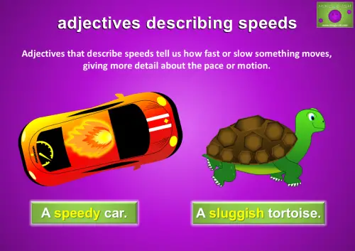 A fast car and a slow tortoise, showing adjectives that describe speed.