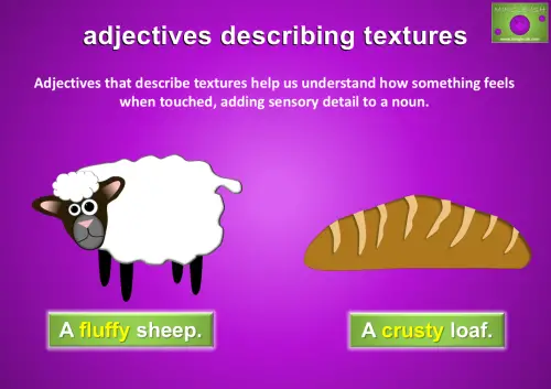 A picture showing a fluffy sheep on the left and a crusty loaf of bread on the right, illustrating adjectives that describe textures.