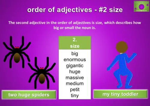 The second adjective in the order of adjectives is size, which describes how big or small the noun is.